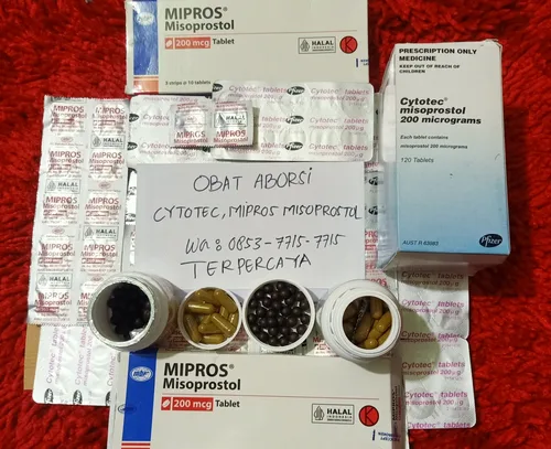Komentar Pil Aborsi Dan Cara Penggunaan Obat Aborsi Cytotec 400 Mg